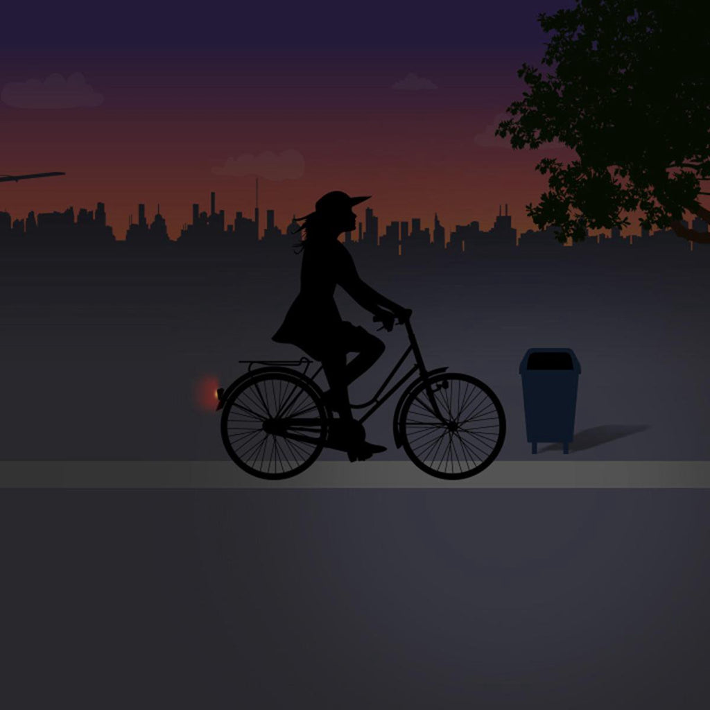 Achterlicht Spanninga Pixeo XB voor spatbordmontage - chroom - met beschermbeugel