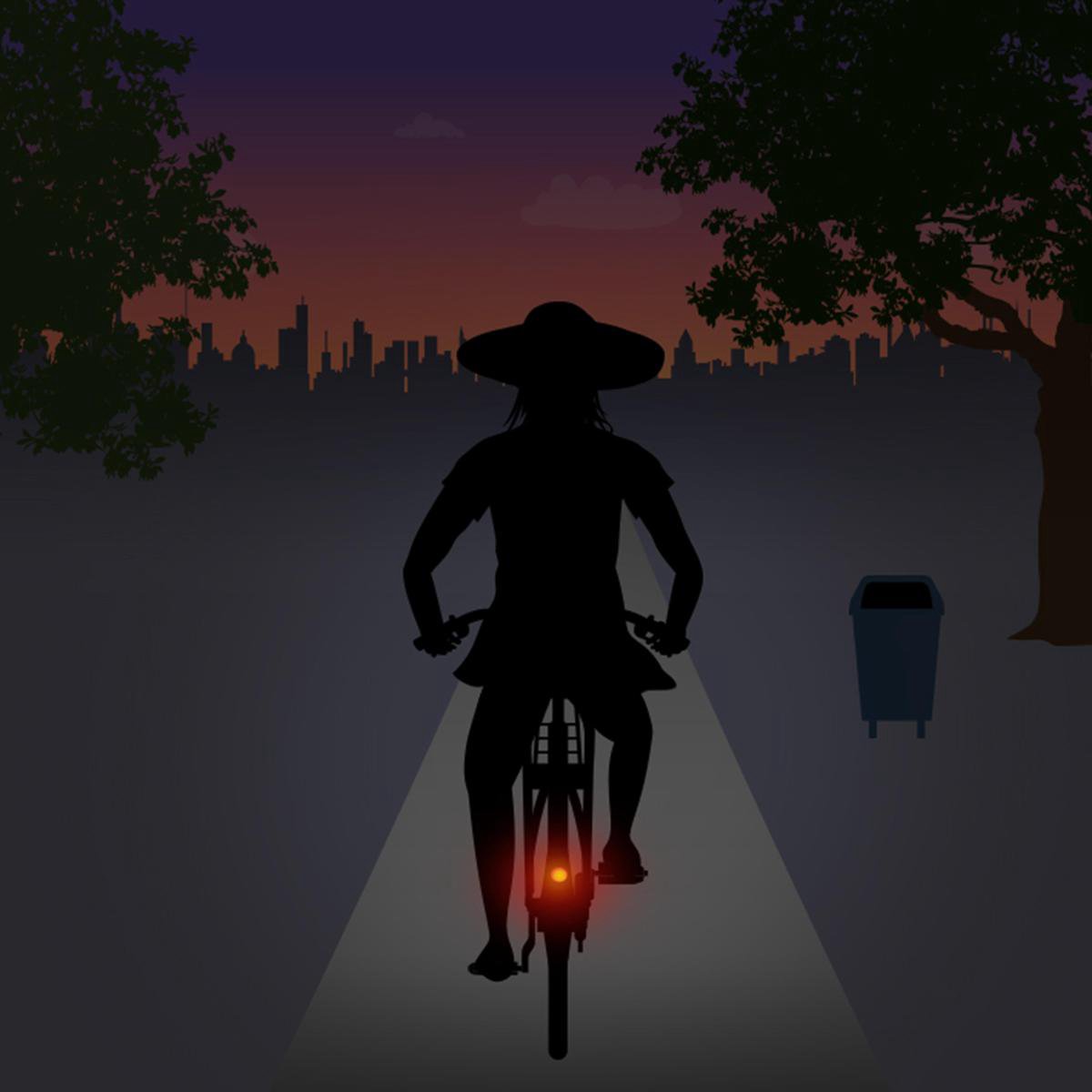 Achterlicht Spanninga Pixeo XB voor spatbordmontage - chroom - met beschermbeugel