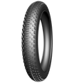 Buitenband Fatbike Edge Fat BST Protect 20 x 4.00" / 100-406mm - zwart