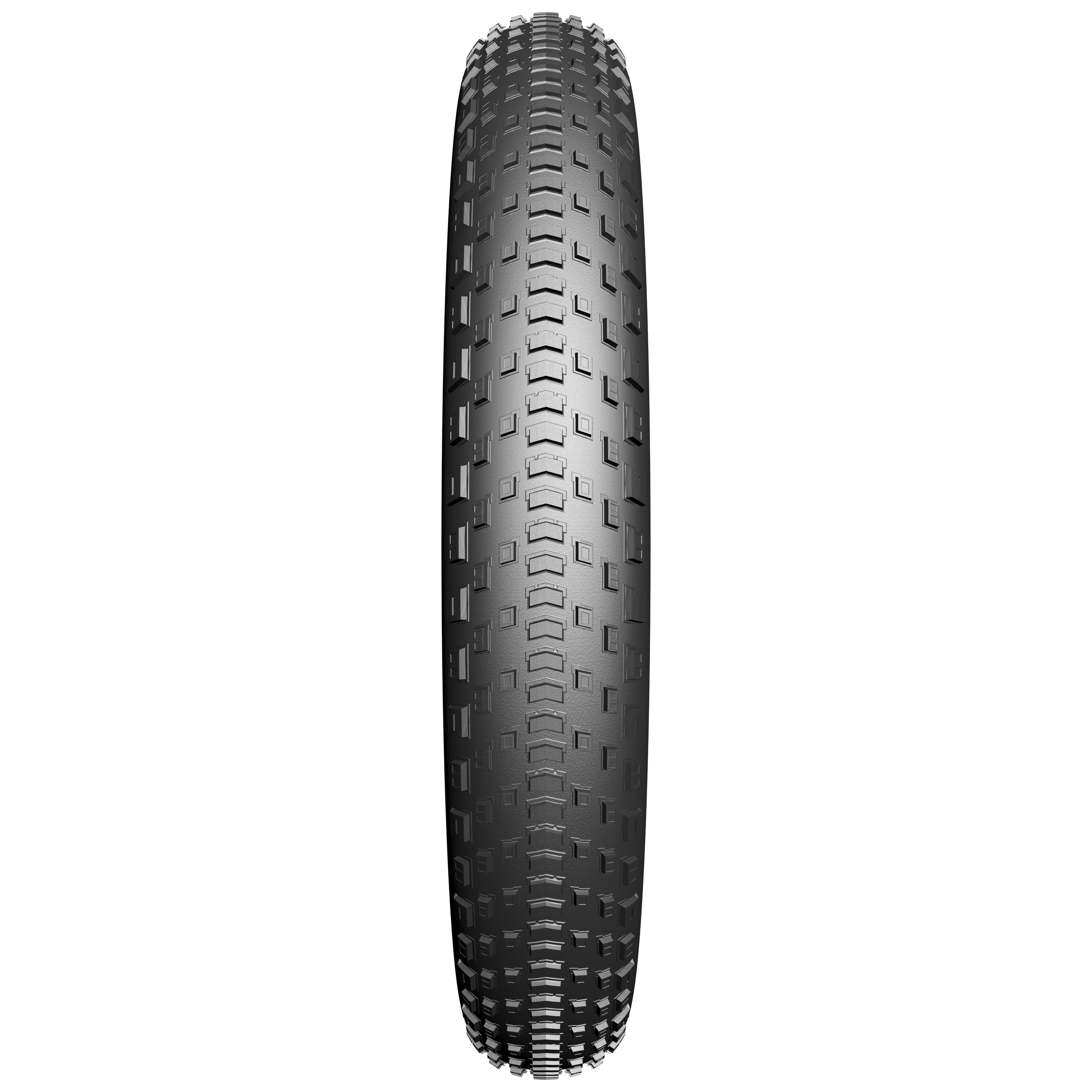 Buitenband Fatbike Edge Fat BST Protect 20 x 4.00" / 100-406mm - zwart