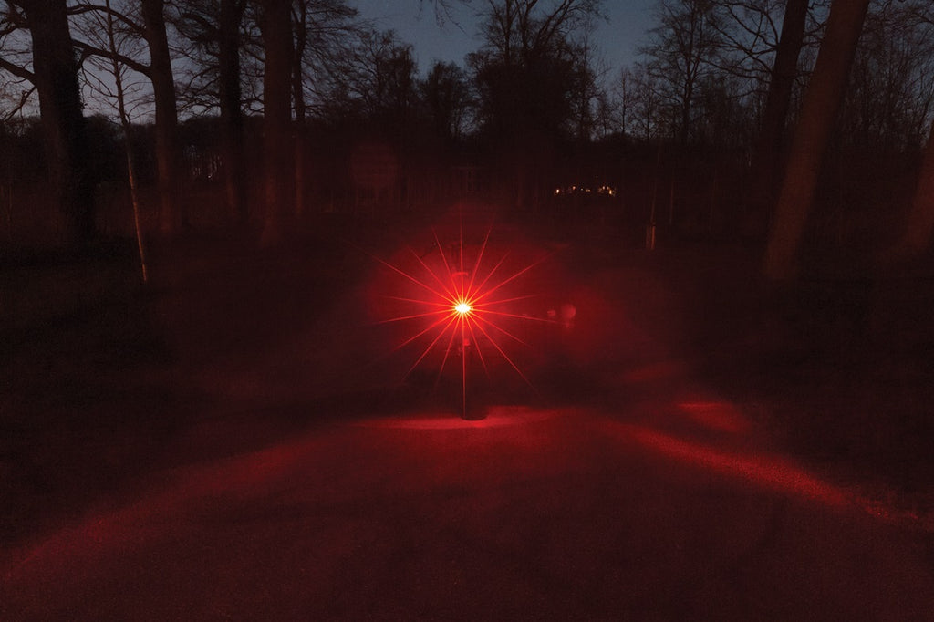 Dragerachterlicht Axa Juno E-bike 6-12 Volt met remlicht - 80 mm montage