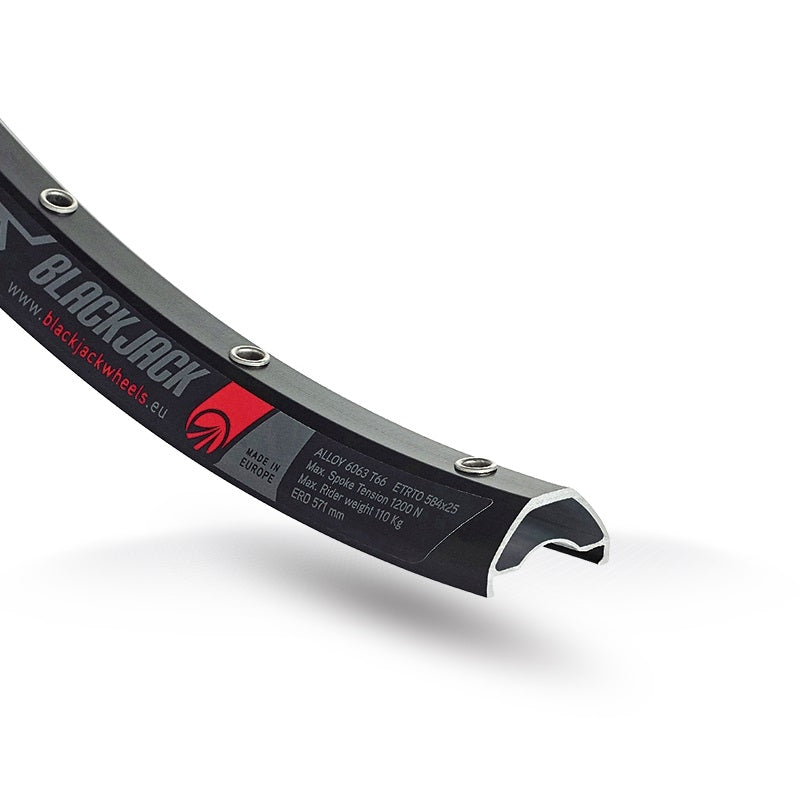 Wielset 29" Rodi Ready 25 Disc - 15x100 + 12x142 mm steekas - 10/11 speed - 28gat