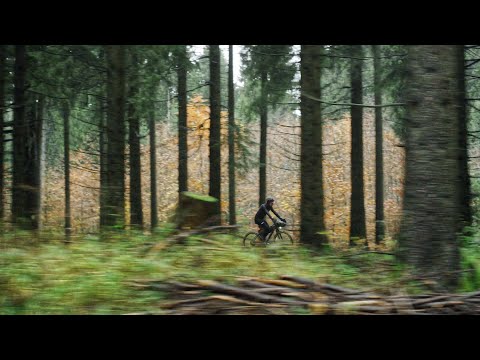 Aandrijfriem Gates CDC Carbon Drive 120T - zwart