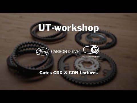 Aandrijfriem Gates CDX Carbon Drive 113T - zwart/zwart